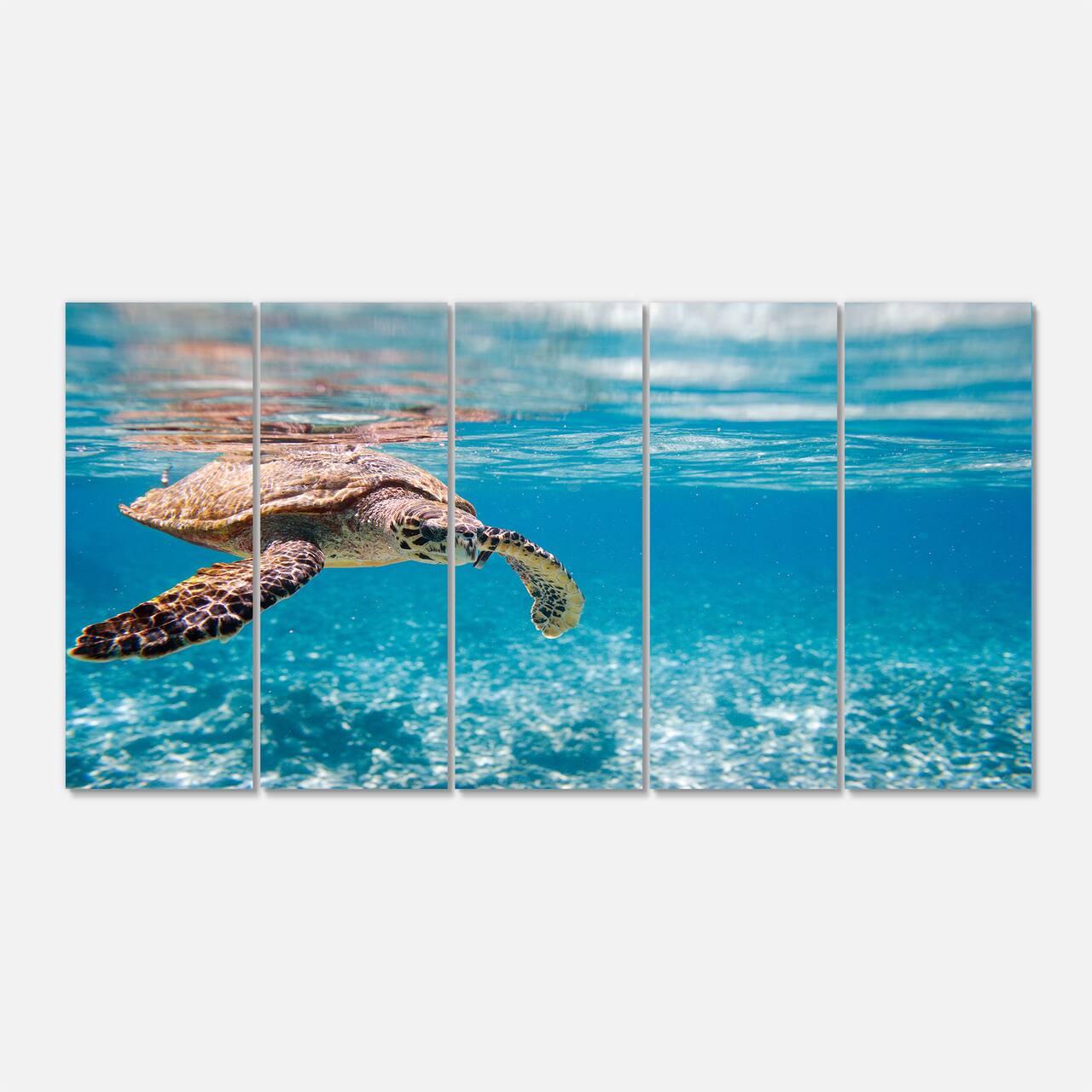 Designart - Large Hawksbill Sea Turtle - Abstract Canvas Art Print